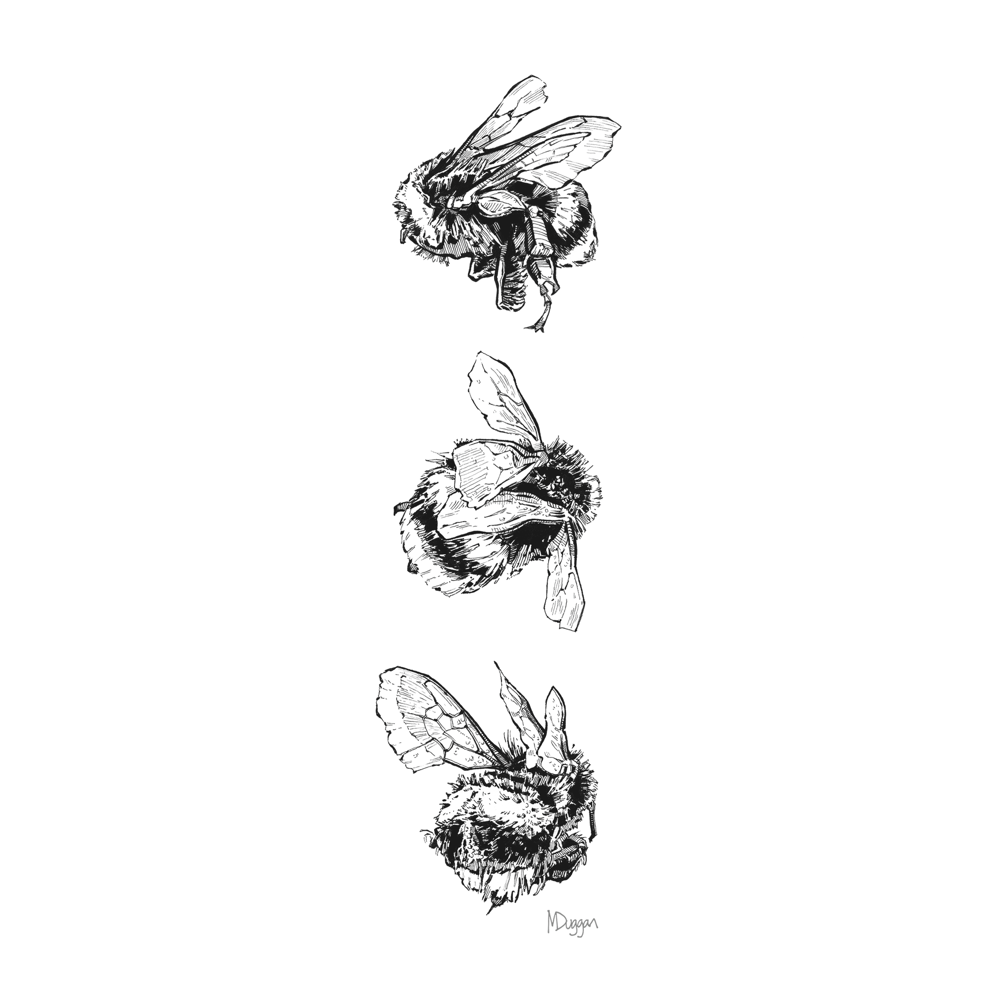 doodlewear-Mark-Duggan-three-Bees-Art-Printe