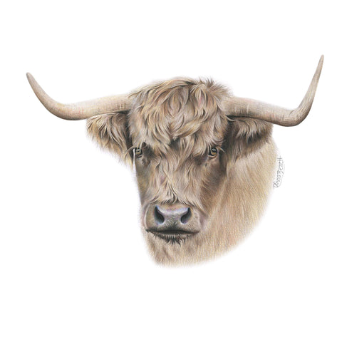 Handsome Highland Cow artwork tote bag - doodlewear