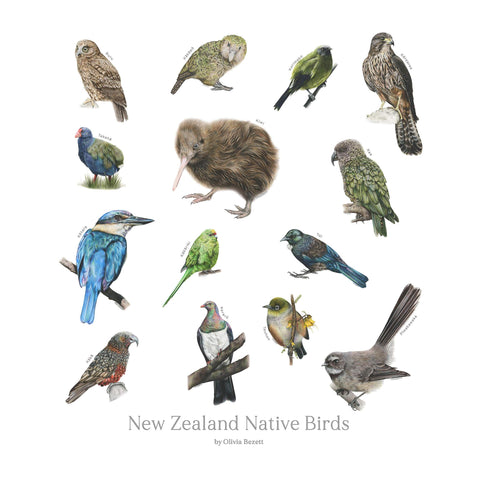 Natives of New Zealand tea towel - doodlewear