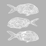 doodlewear 'Ornate Trio Of Snapper' artwork by Contemporary New Zealand Artist