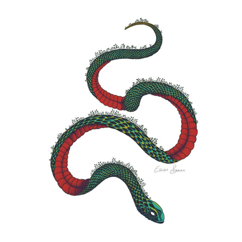 Garden Snake crew - doodlewear