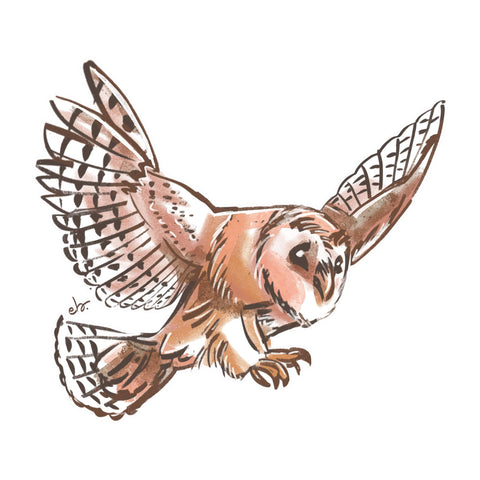 Flying Owl Free Spirit artwork tote bag - doodlewear