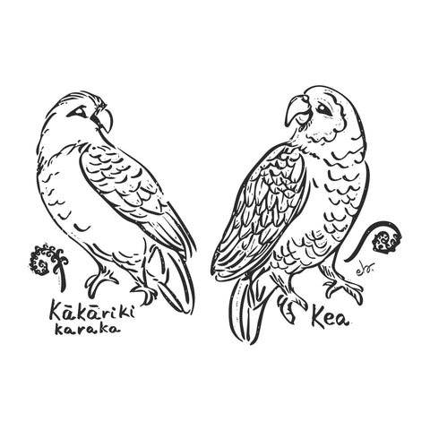 Forest Parrots: Kakariki and Kea Bird tea towel - doodlewear