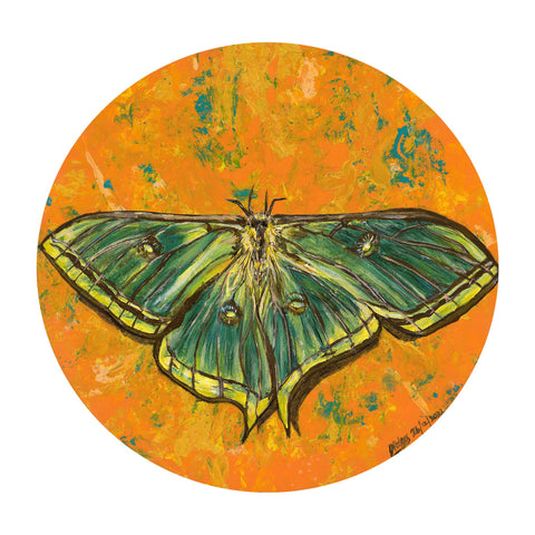 Luna Moth tee - doodlewear