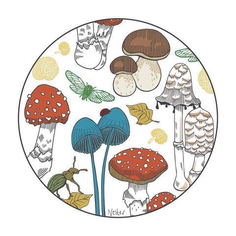 Colour Fungi Forest tee - doodlewear