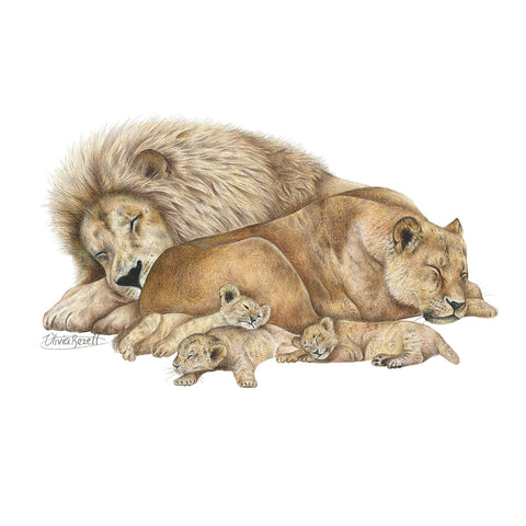 The Lion Sleeps Tonight tee - doodlewear
