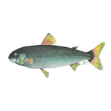 NZ Grayling Freshwater Fish tee