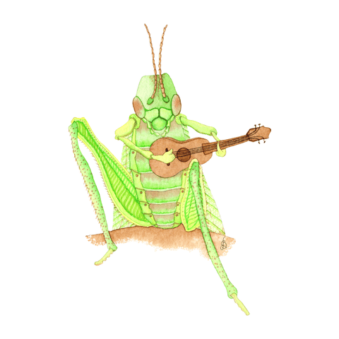 Grasshopper Playing a Ukulele tee - doodlewear
