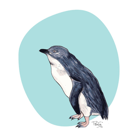 Little Blue Penguin tee - doodlewear