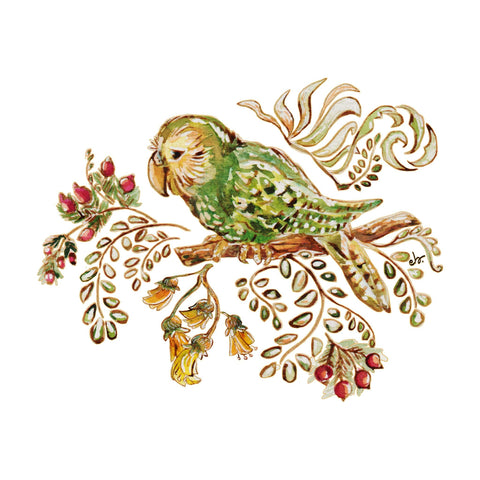 Kakapo Bird, Accomplished Climber tee - doodlewear