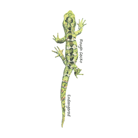Rough Gecko tee - doodlewear