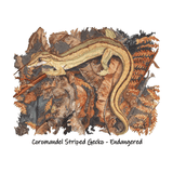 Coromandel Striped Gecko tee - doodlewear