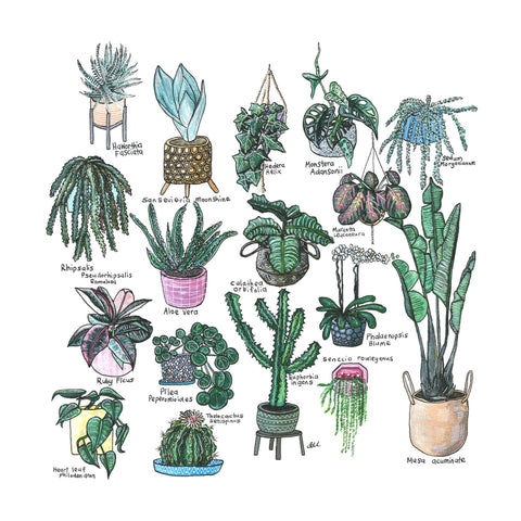 17 Indoor Plants artwork tote bag - doodlewear