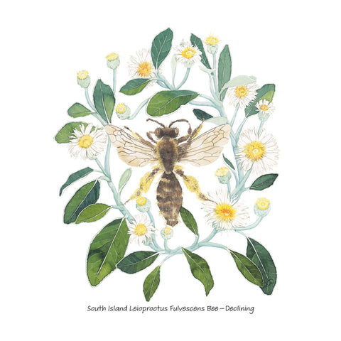 Bee Among Daisies tee - doodlewear