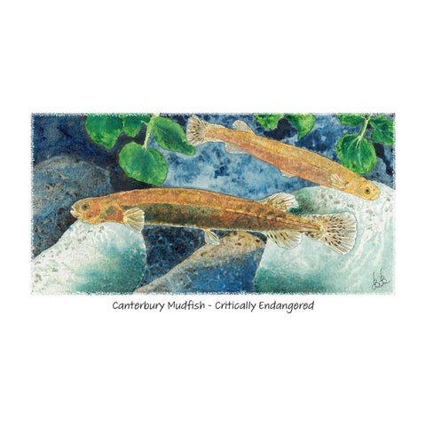 Canterbury Mudfish tee - doodlewear