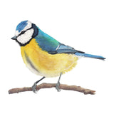 Ukraine - Eurasian Blue Tit Bird artwork tote bag - art for a cause - doodlewear