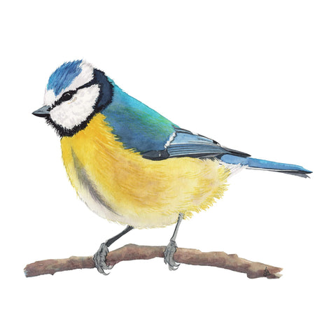 Ukraine - Eurasian Blue Tit Bird tee - art for a cause - doodlewear