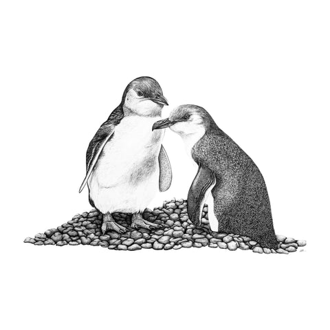 Penguins on the Rocks tea towel - doodlewear