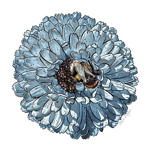 Blue Chrysanthemum Cushion Cover