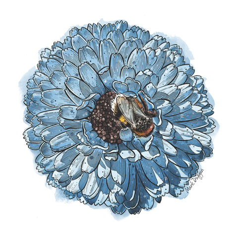 Blue Chrysanthemum tea towel - doodlewear