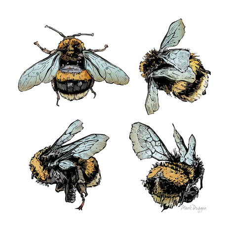 Quad Bees Cushion Cover - doodlewear