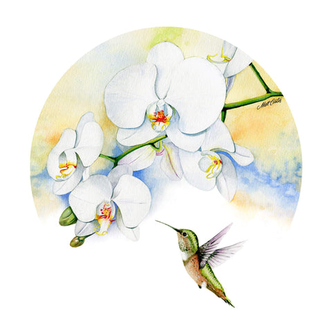 doodlewear Spring Is Humming watercolour artwork with orchid and humming bird by artist Matt Coates