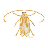 Pocket Huhu Bug tee - doodlewear