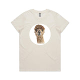 Inquisitive Alpaca tee - doodlewear