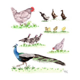 Plucky Poultry tea towel - doodlewear