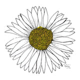 daisy artwork by artist Penny Royal Design