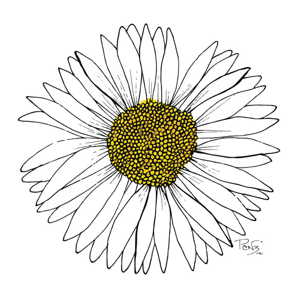 daisy artwork by artist Penny Royal Design