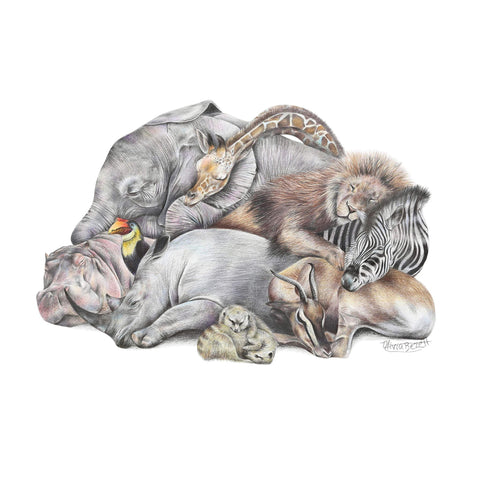 Safari Sleepers tee - doodlewear