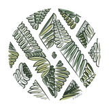 Botanical Unite digital artwork by artist Anna Mollekin