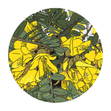 Kowhai's Joy tee