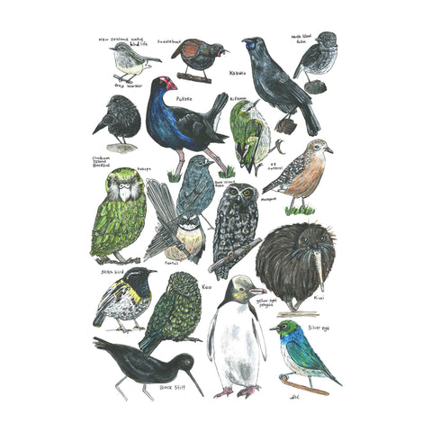 18 Native NZ Birds tee