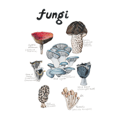 Funky Fungi tea towel - doodlewear