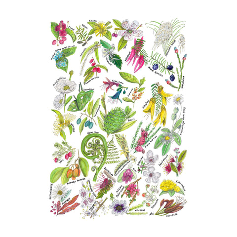 NZ Botanicals tee - doodlewear