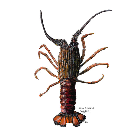 New Zealand Native Crayfish artwork tote bag