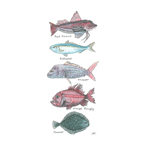 NZ Native fish artwork by Lesh Creates