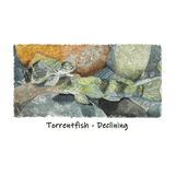 Torrentfish tee